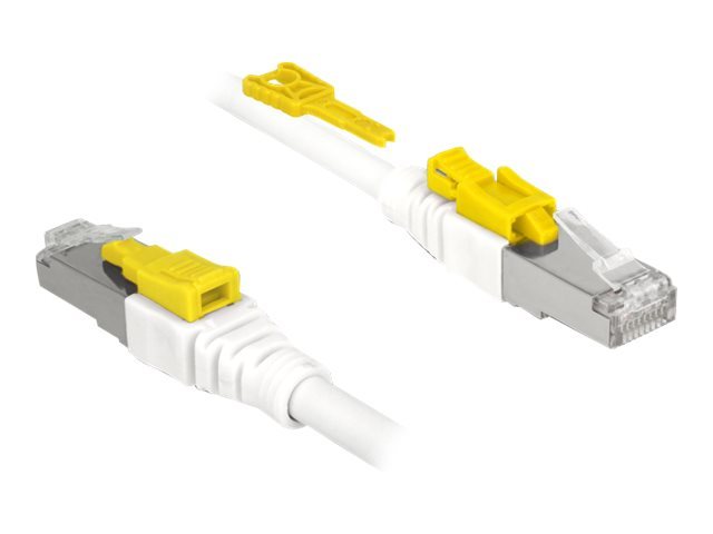 DeLOCK 85332 Networking Cable White 2 M Cat6a S/FTP (S-STP)
