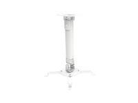Techly ICA-PM-18S Project Mount Ceiling Silver