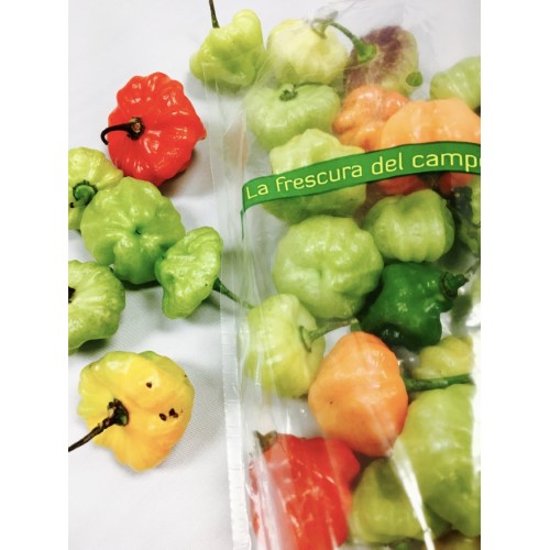 Happy Farms 'AJI DULCE' Sweet Pepper, FRESH! 100% Natural Locally Grown in Puerto Rico - 1 Lb Bag
