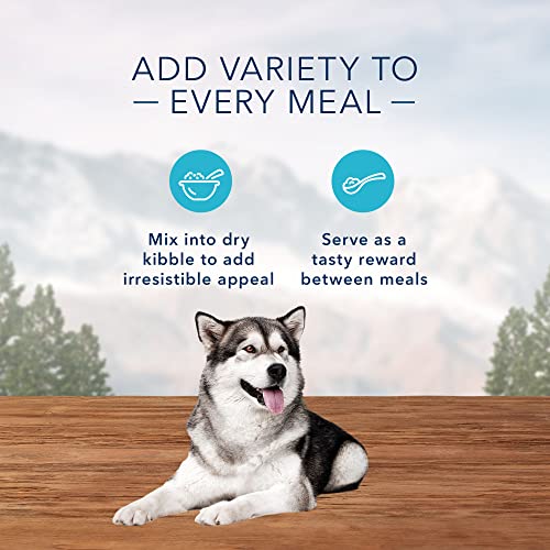 Blue Buffalo Wilderness Trail Toppers Wild Cuts High Protein, Natural Wet Dog Food Variety Pack, Chicken and Beef Bites, 3-oz Pouch, 12 Count thumbnail