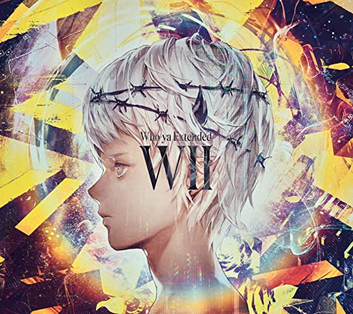 WII (First Press Limited Edition)