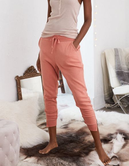 Aerie Ankle Zip Jogger