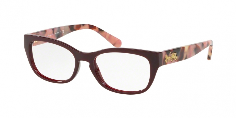 Coach 6104 Eyeglasses 5509