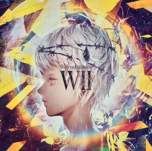 WII (Normal Edition)