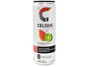 Celsius Energy Drink Sparkling Kiwi Guava 12 Fl Oz Each / Pack of 12